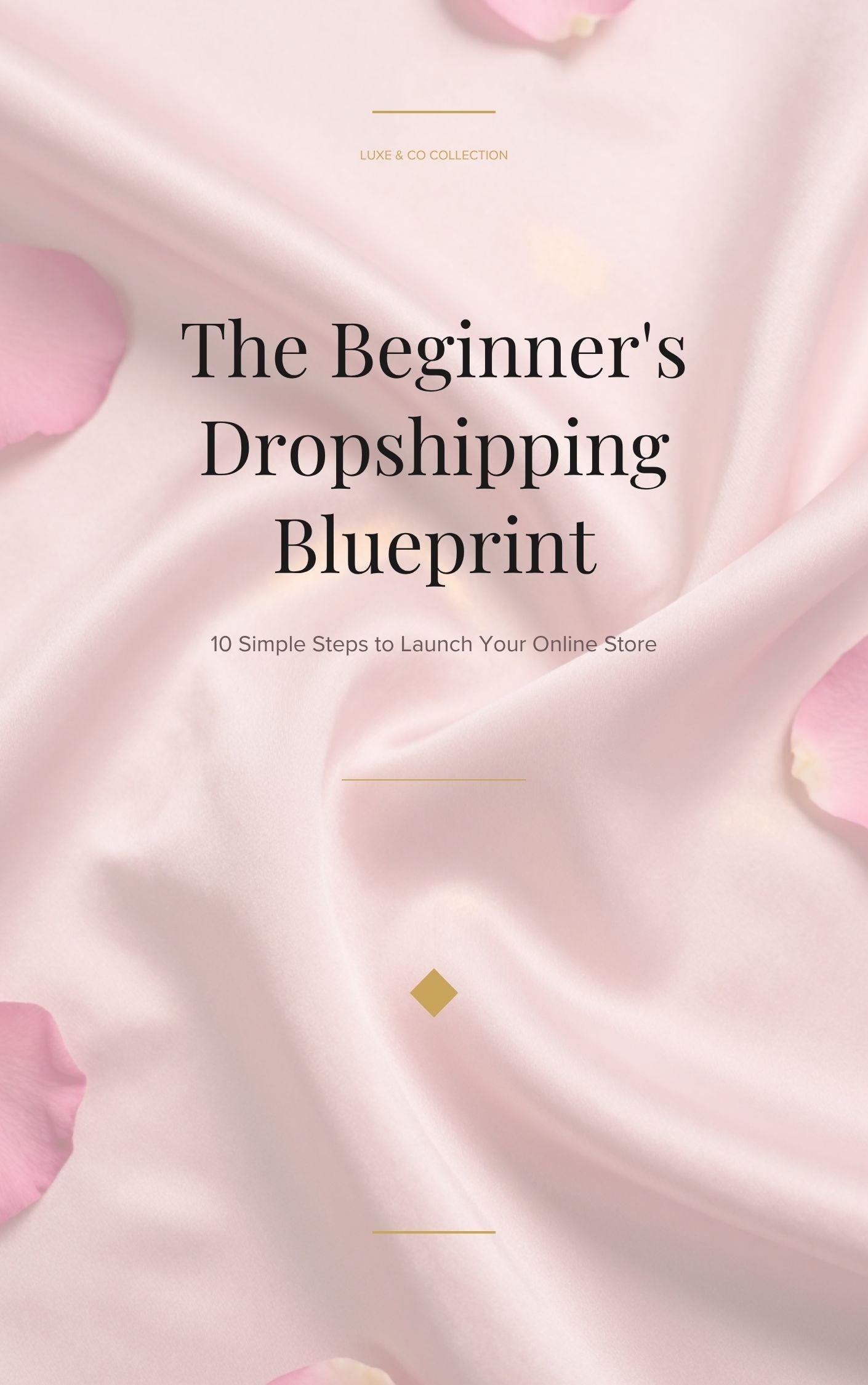 The Beginner’s Dropshipping Blueprint